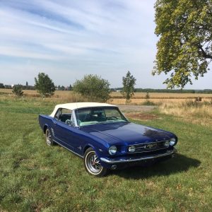 Lire la suite à propos de l’article American Mythic Mustang Makers (A3M)